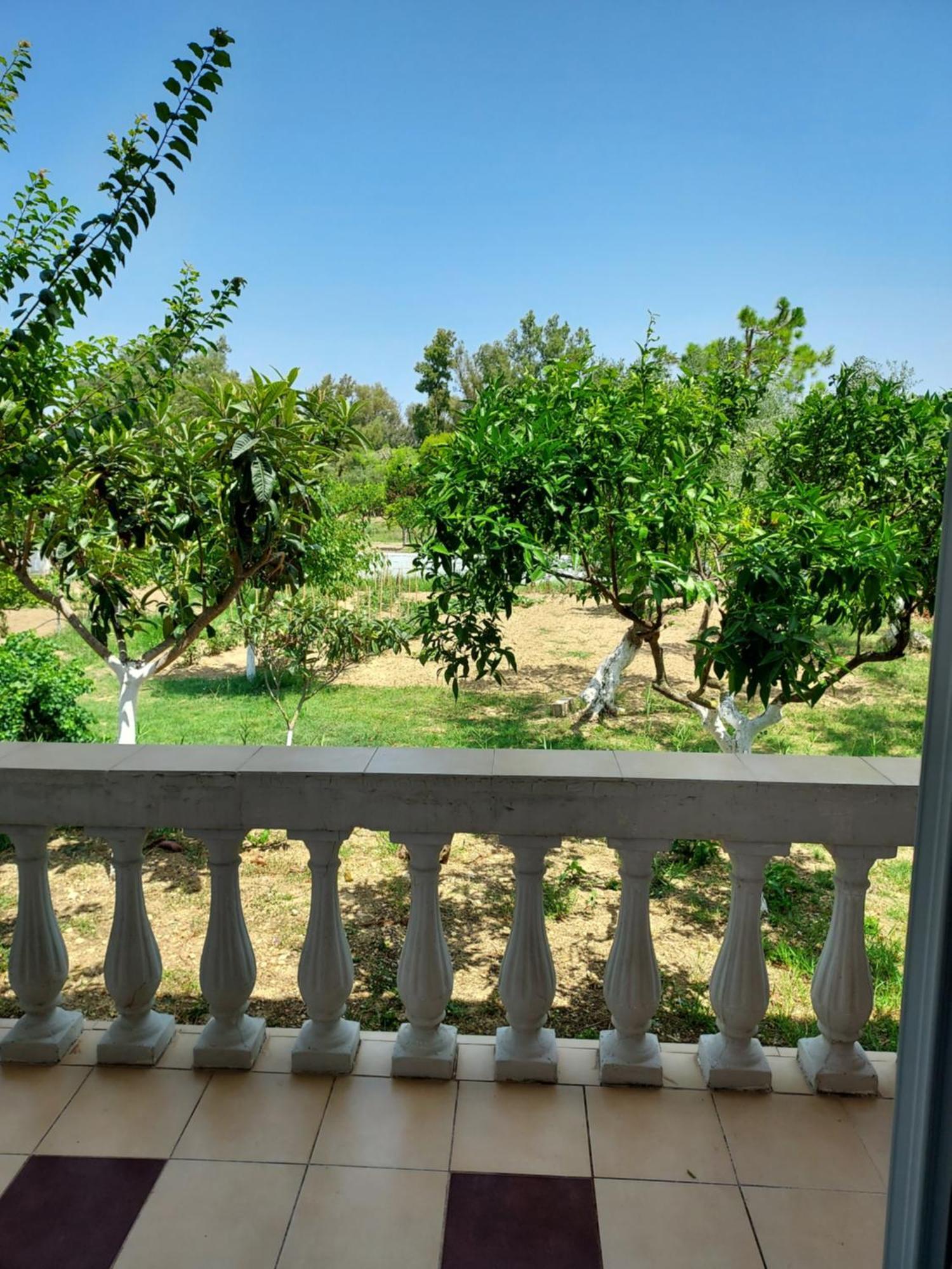 Canditas Studios Tsilivi (Zakynthos) Exterior foto