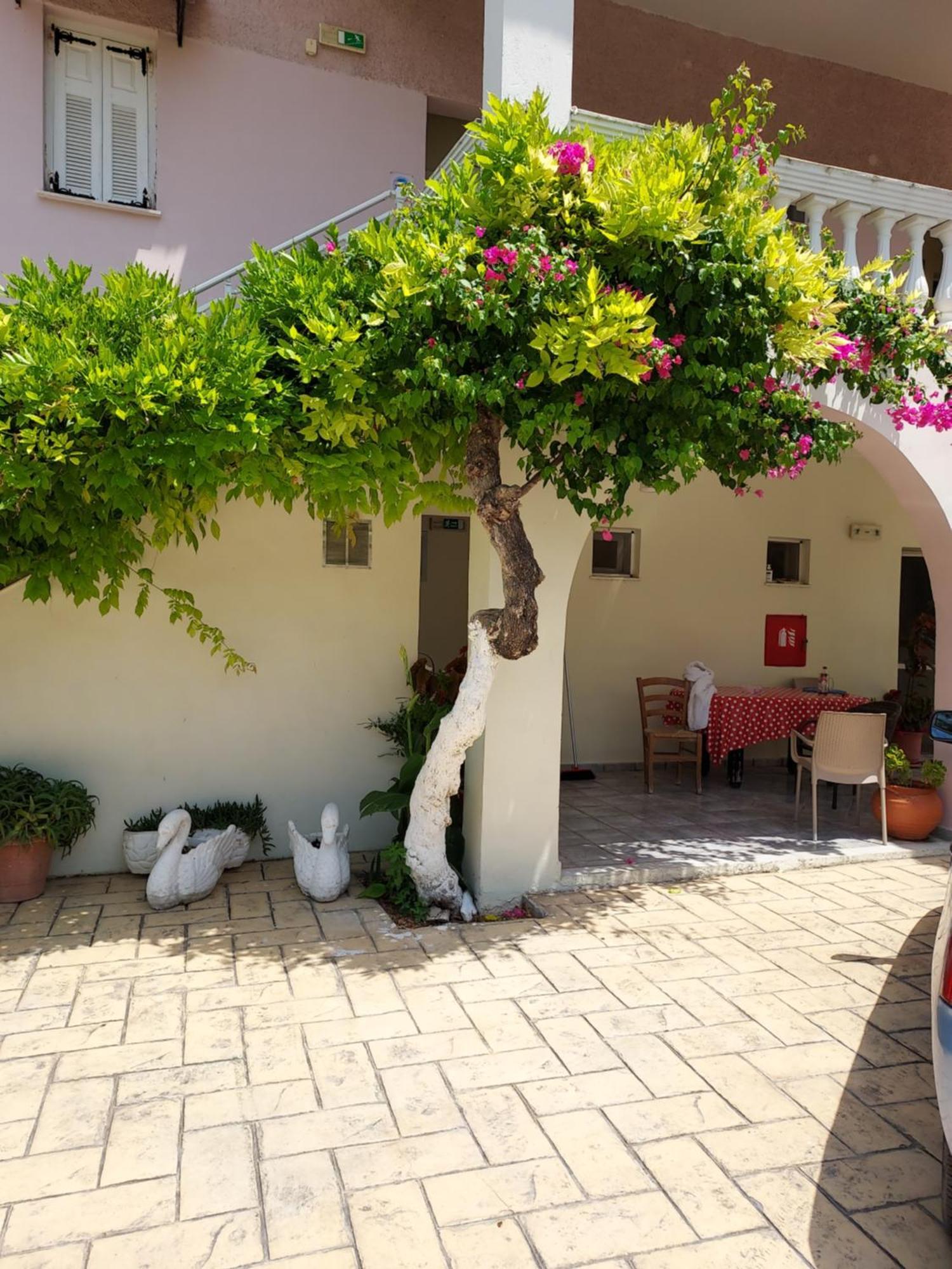 Canditas Studios Tsilivi (Zakynthos) Exterior foto
